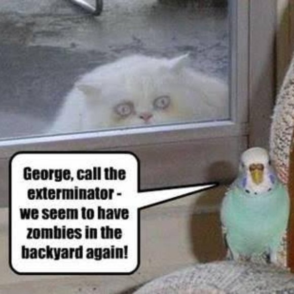 😁 Funnies to Bring a Laugh and Joy to your Day! 😁 - Picture 2 of 15